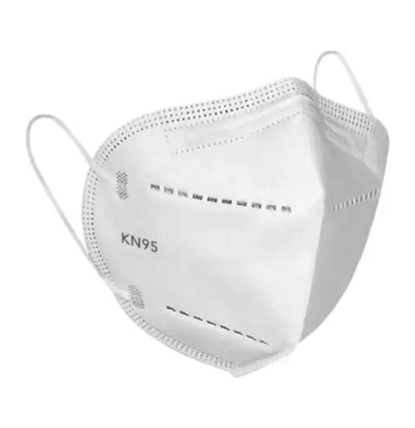 VERNOLEX ADULT DISPOSABLE N95 MASK2